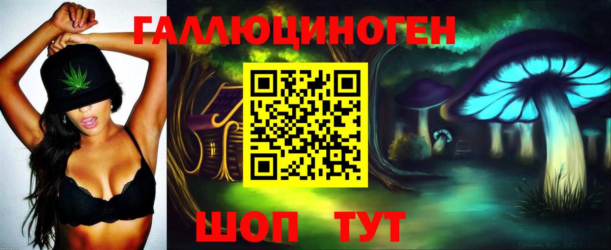 Брянск  Галлюциногенные грибы Psilocybe  Псилоцибиновые грибы Psilocybine cubensis  Вход с VPN 